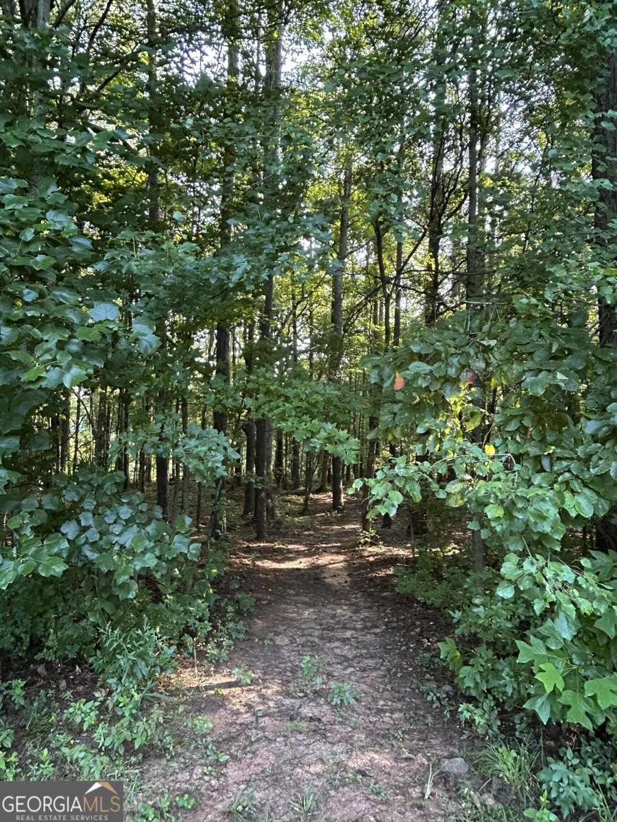 914 Whooping Creek Road Carrollton - Photo 21