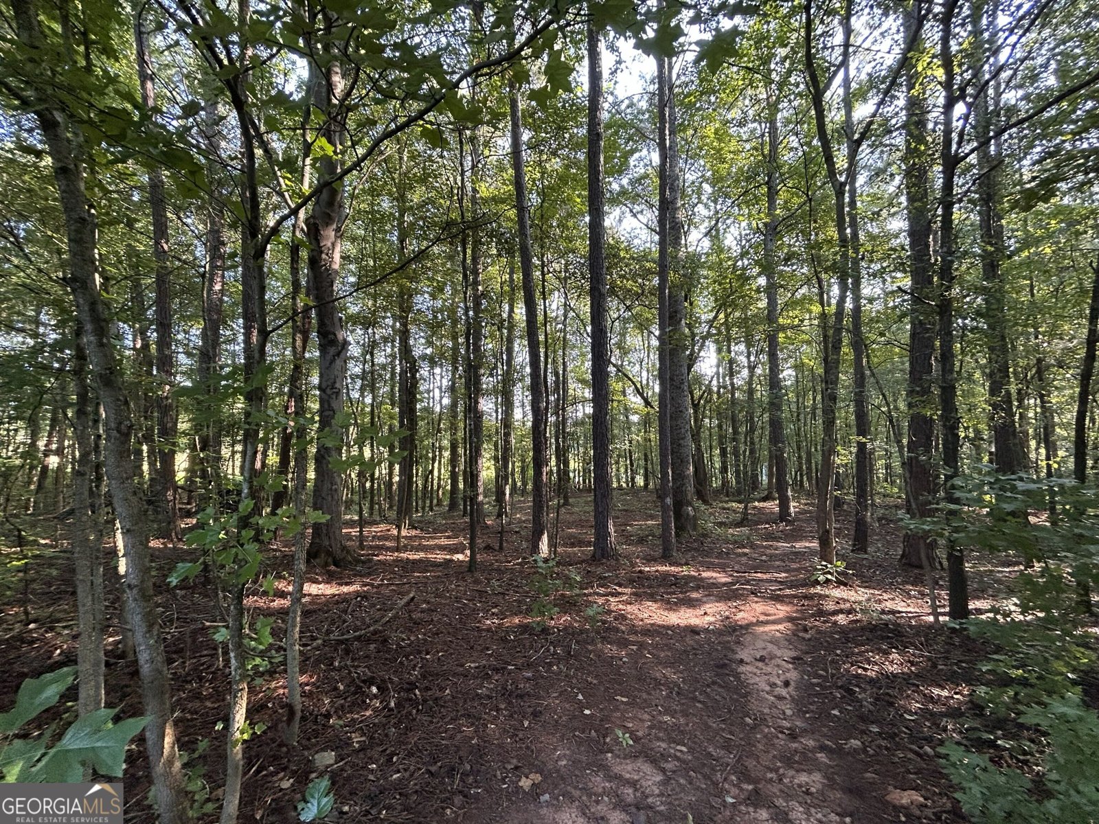 914 Whooping Creek Road Carrollton - Photo 22