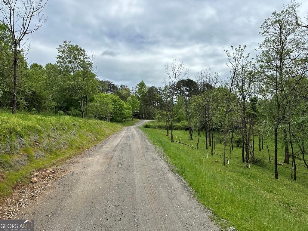 247 Loganberry Ln Hayesville - Photo 13