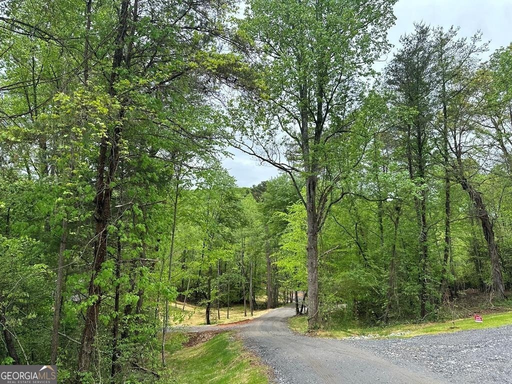 247 Loganberry Ln Hayesville - Photo 14