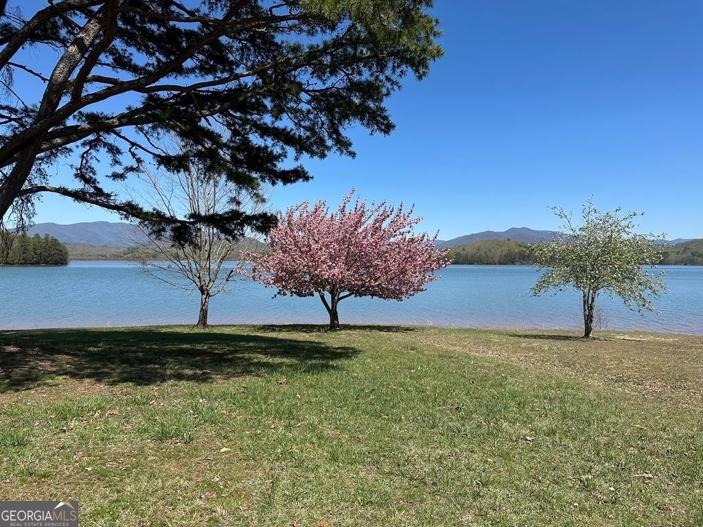 247 Loganberry Ln Hayesville - Photo 18