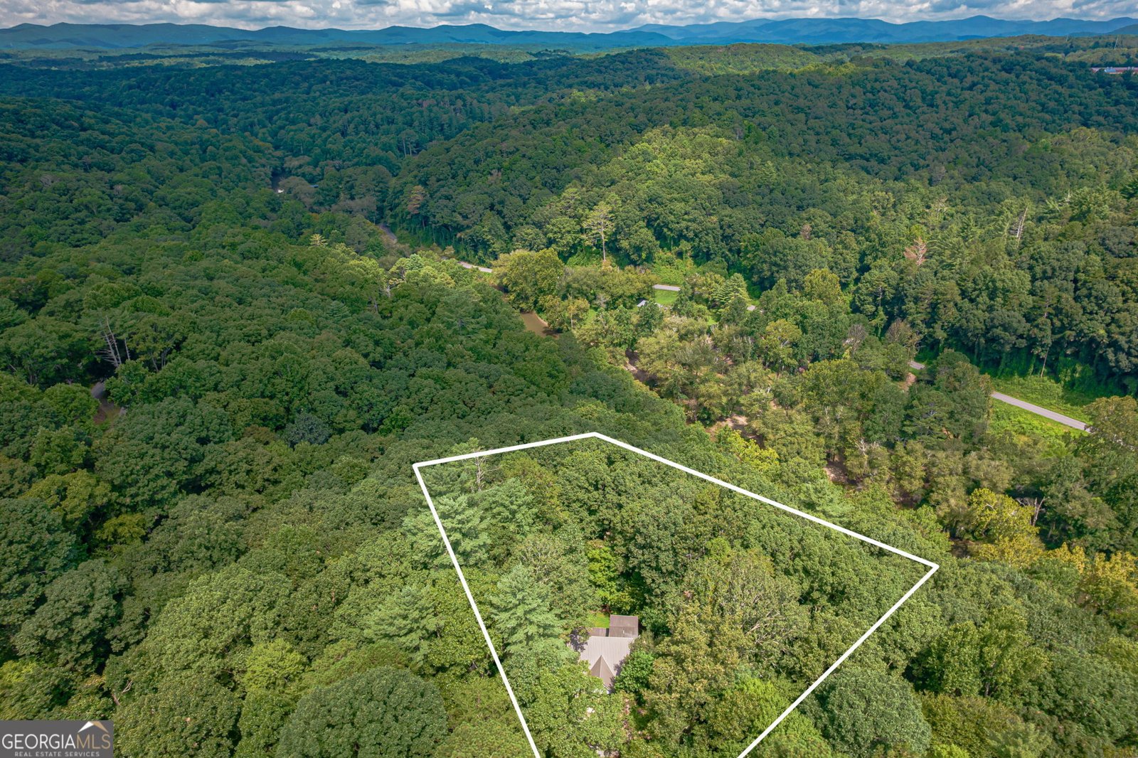 296 Mohawk Trail Ellijay - Photo 49