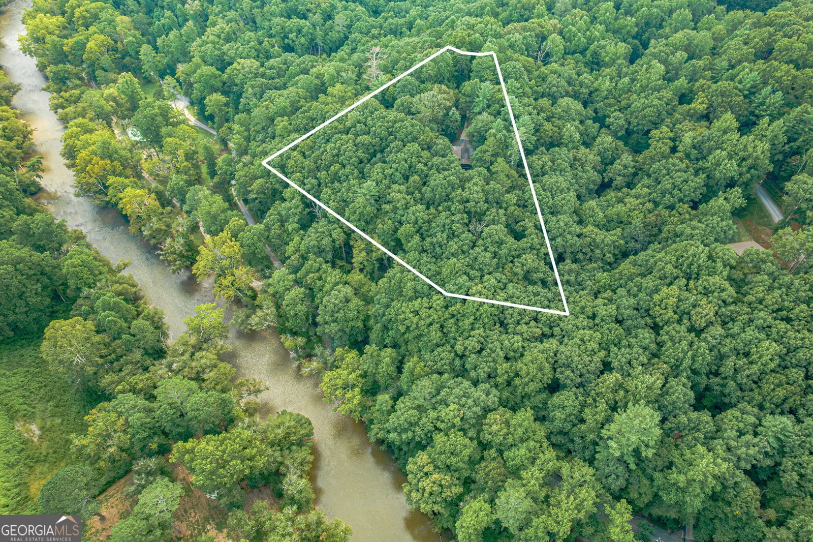 296 Mohawk Trail Ellijay - Photo 51