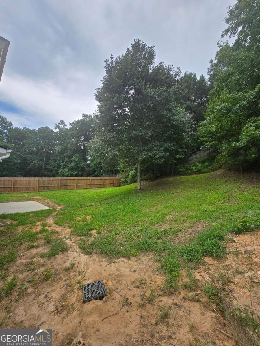 2145 Mina Lane Drive Buford - Photo 26