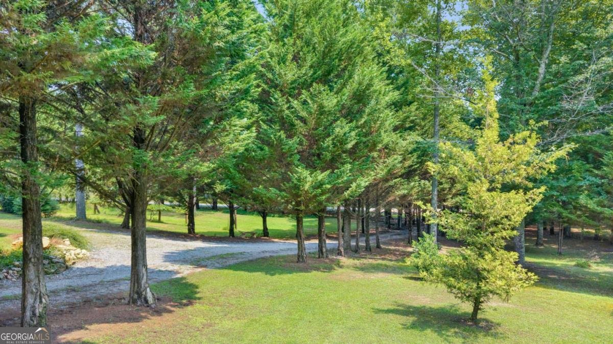 2064 Knight Road Ellijay - Photo 57