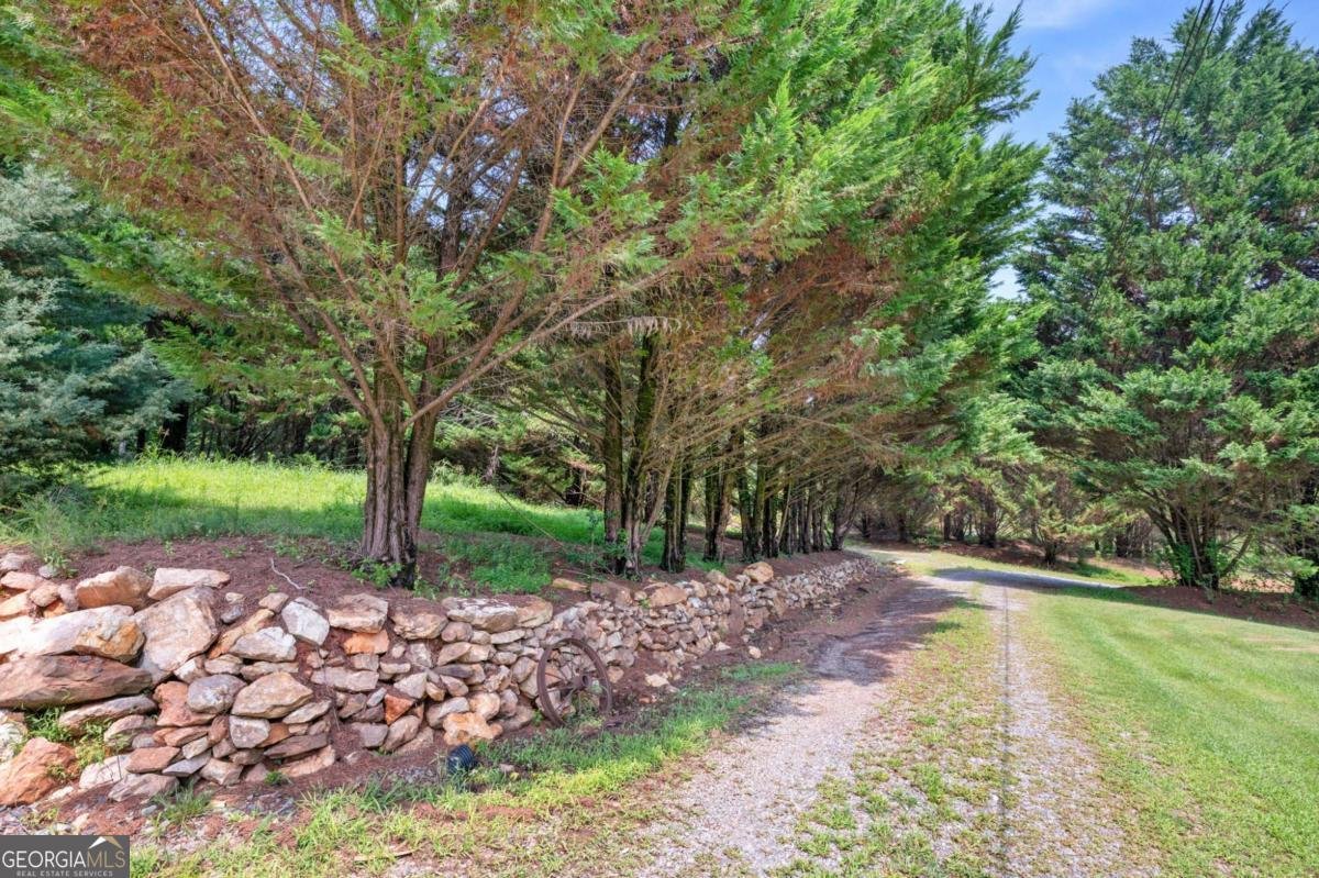 2064 Knight Road Ellijay - Photo 60