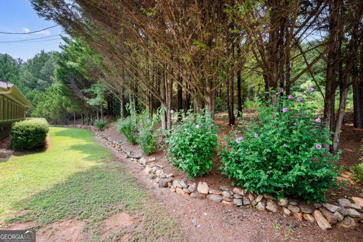 2064 Knight Road Ellijay - Photo 61