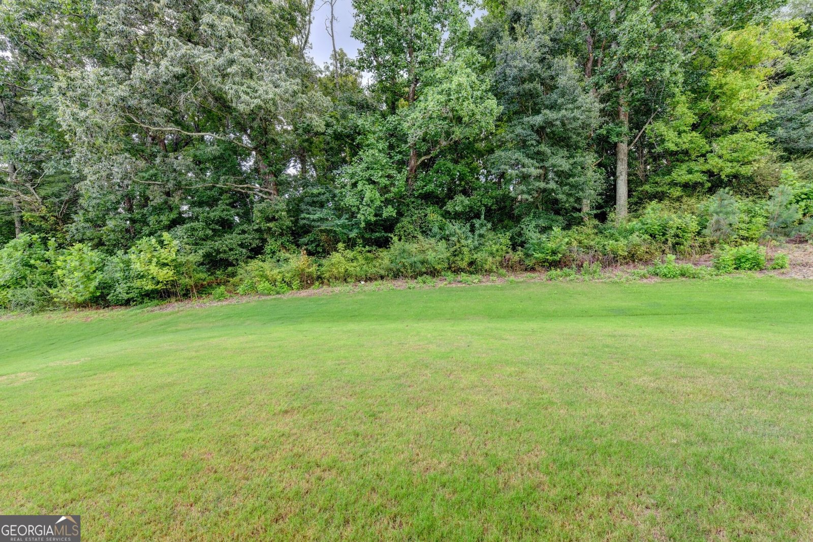 5090 Bellehurst Lane Cumming - Photo 59