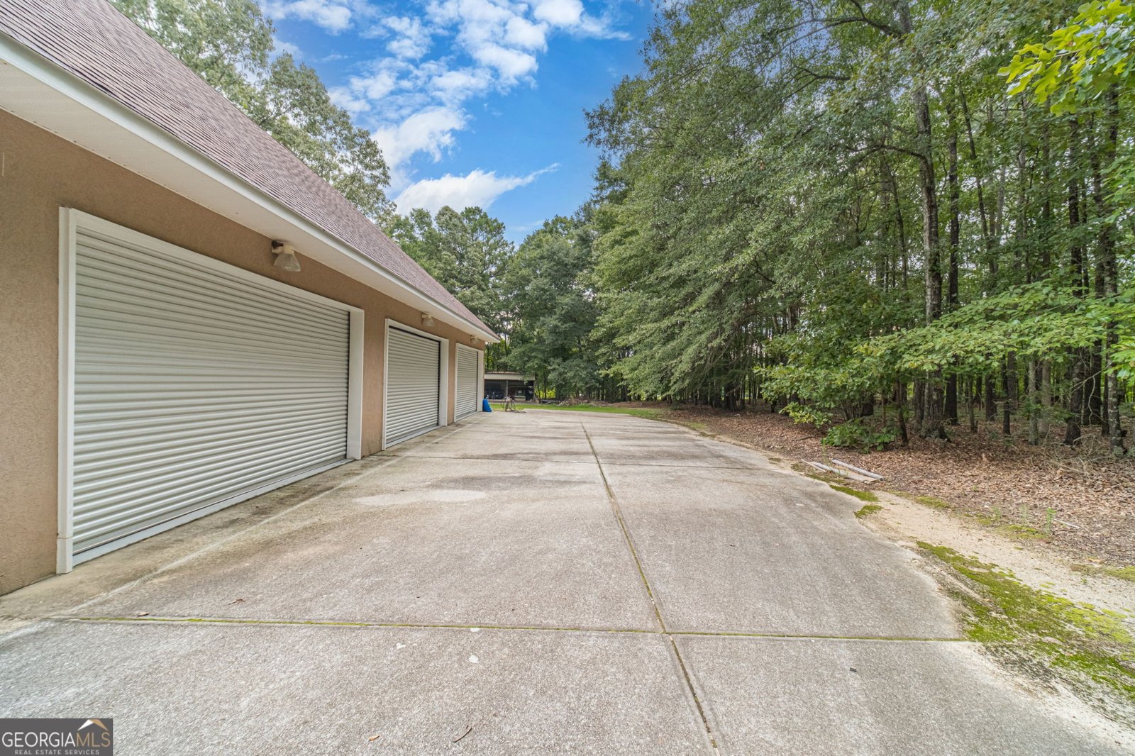 1601 Broadnax Mill Road Loganville - Photo 43