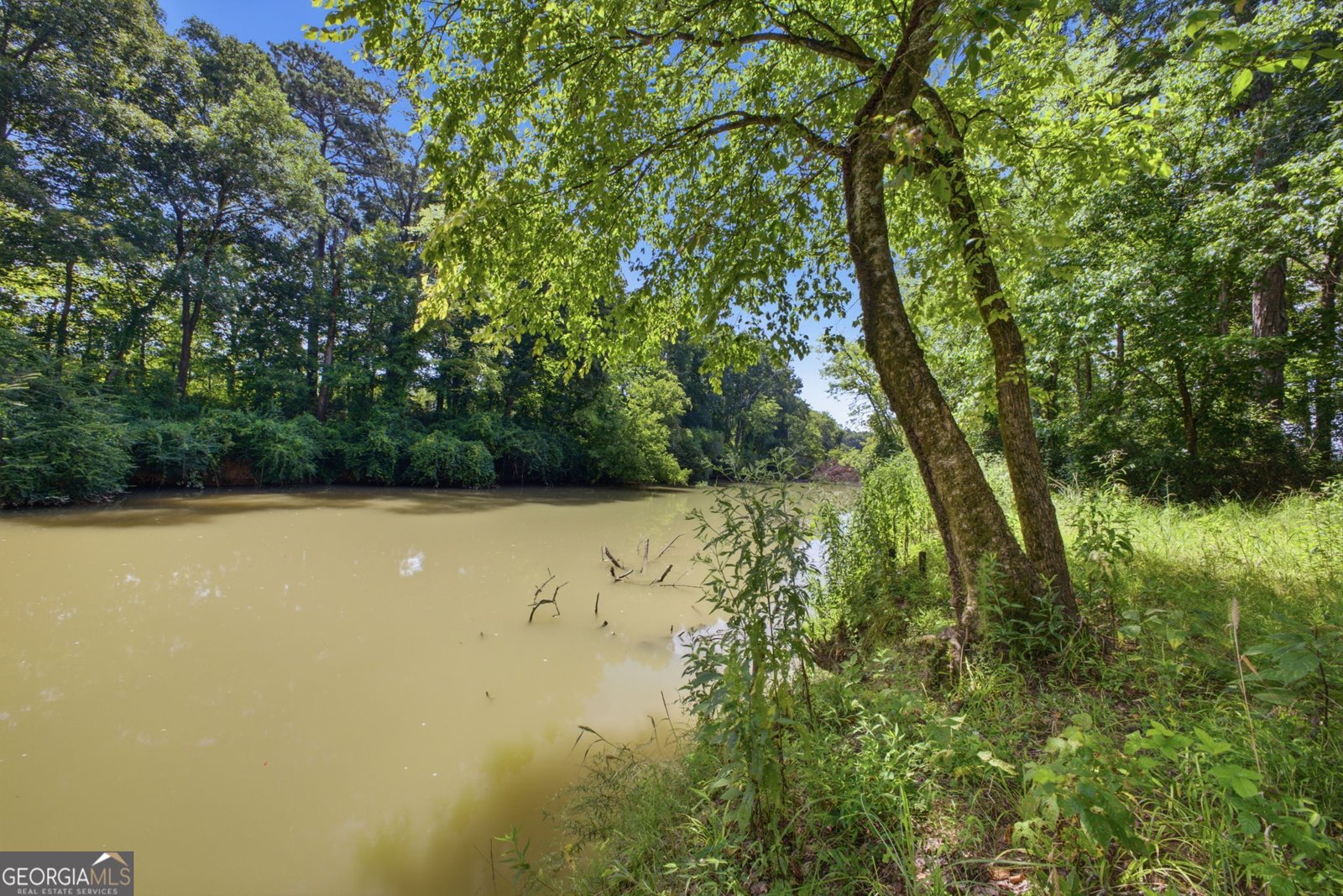 6450 Alabama Hwy 68 E Gaylesville - Photo 11