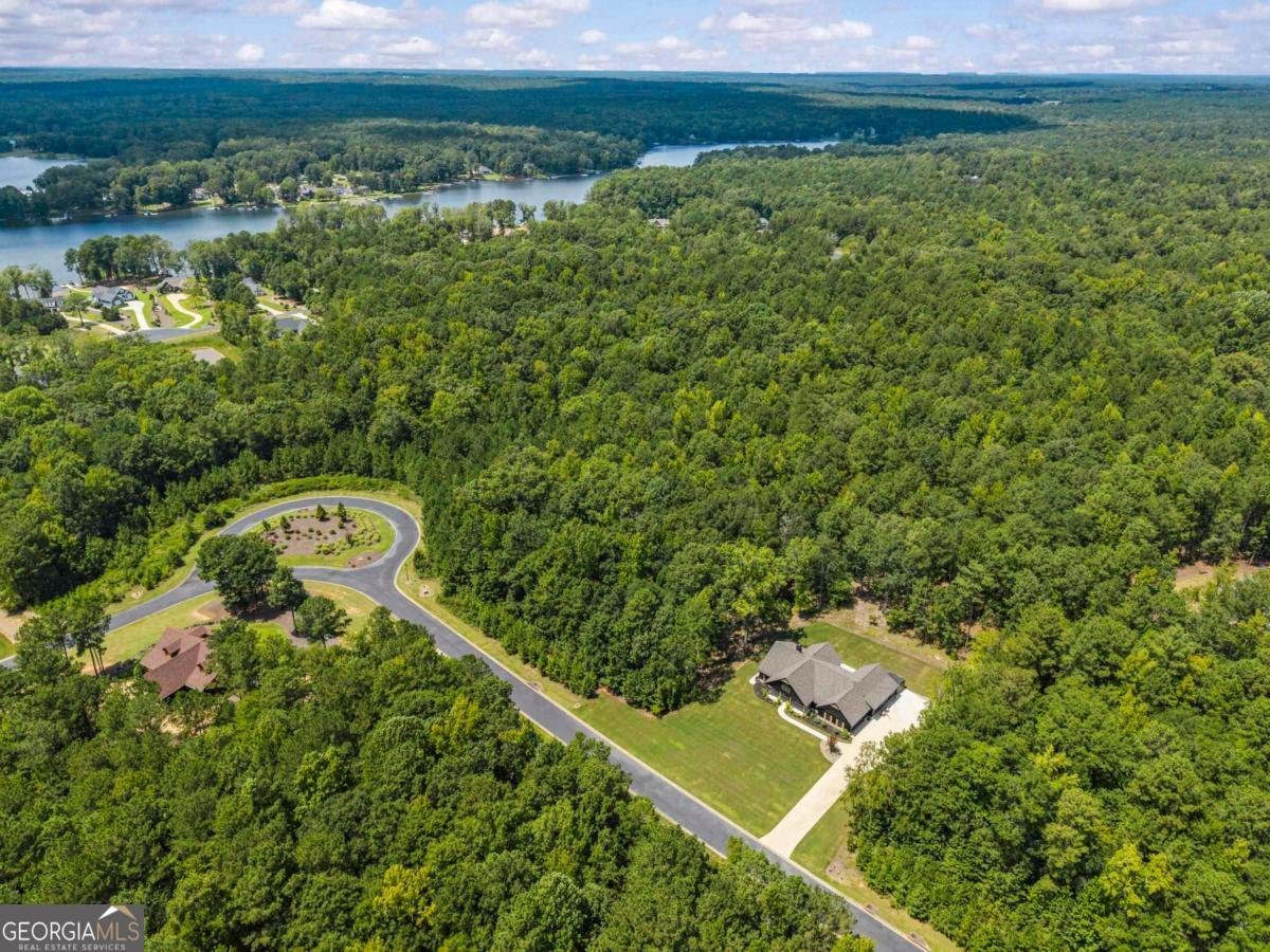 1231 Spinnaker Road Buckhead - Photo 46