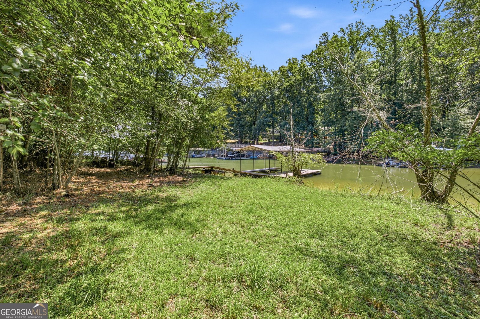 330 Lake Drive Dawsonville - Photo 42