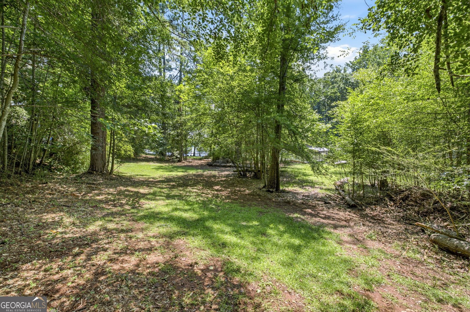 330 Lake Drive Dawsonville - Photo 43
