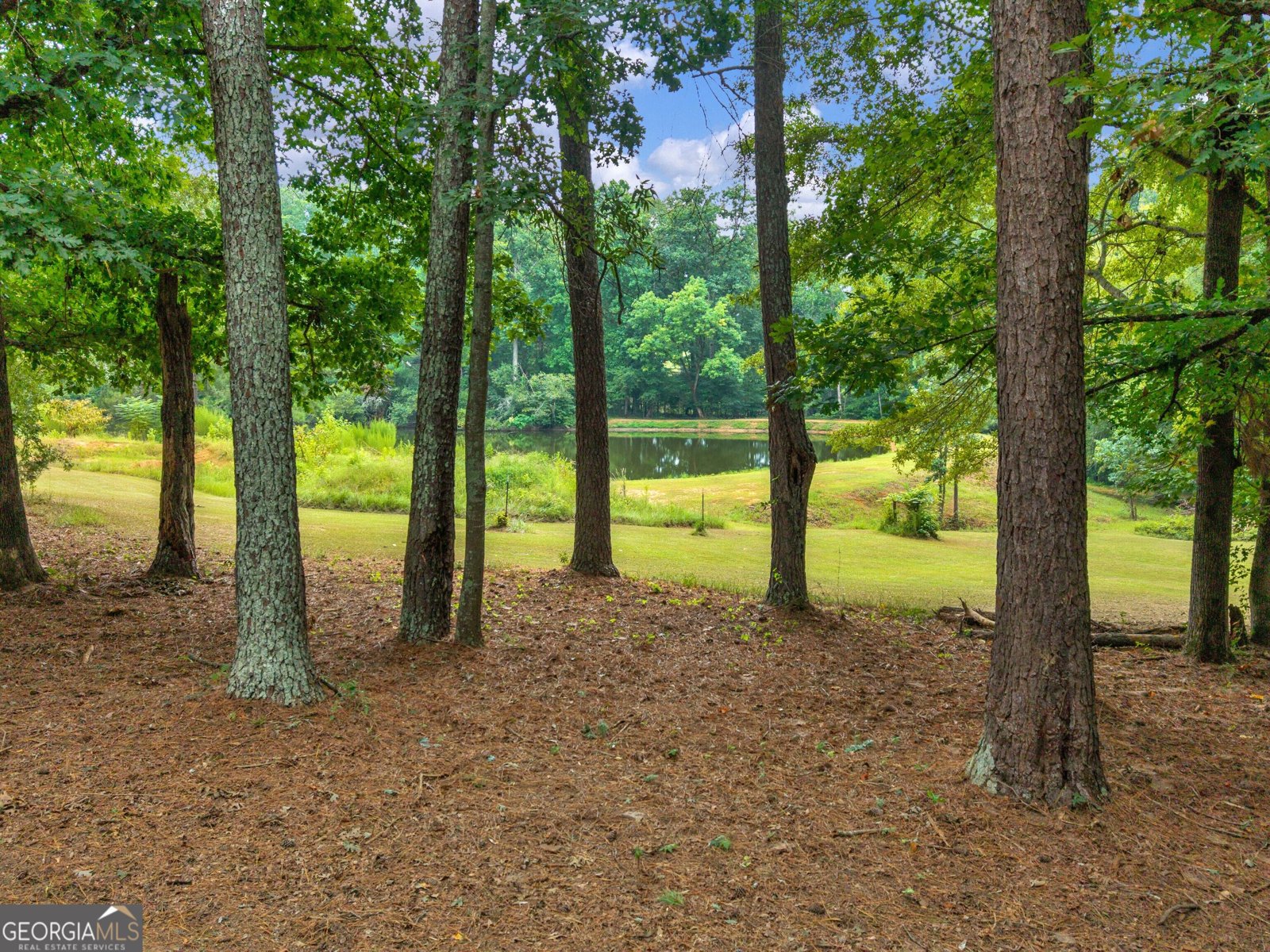 1301 Marshall Store Road Watkinsville - Photo 39