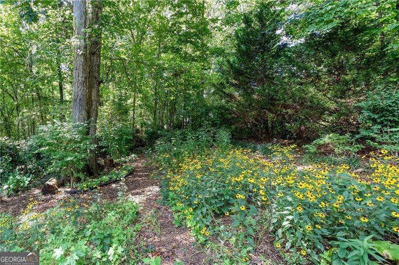 3705 Winding Trail Douglasville - Photo 52