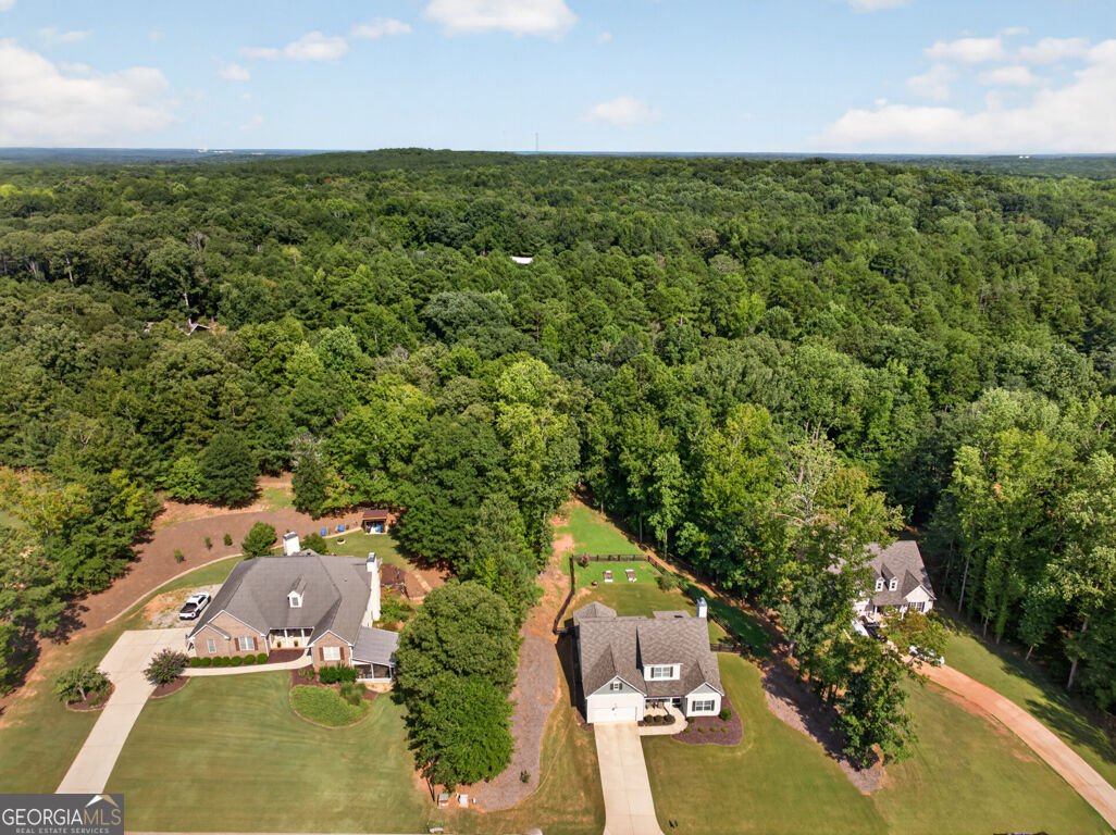 171 Masters Way Athens - Photo 46