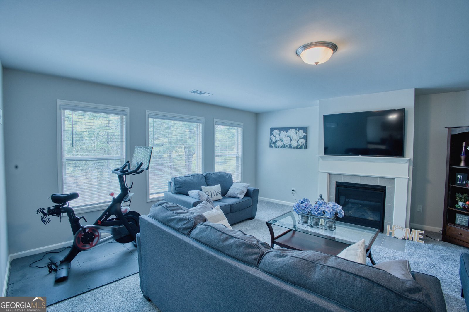 523 Blue Mountain Rise Canton - Photo 19