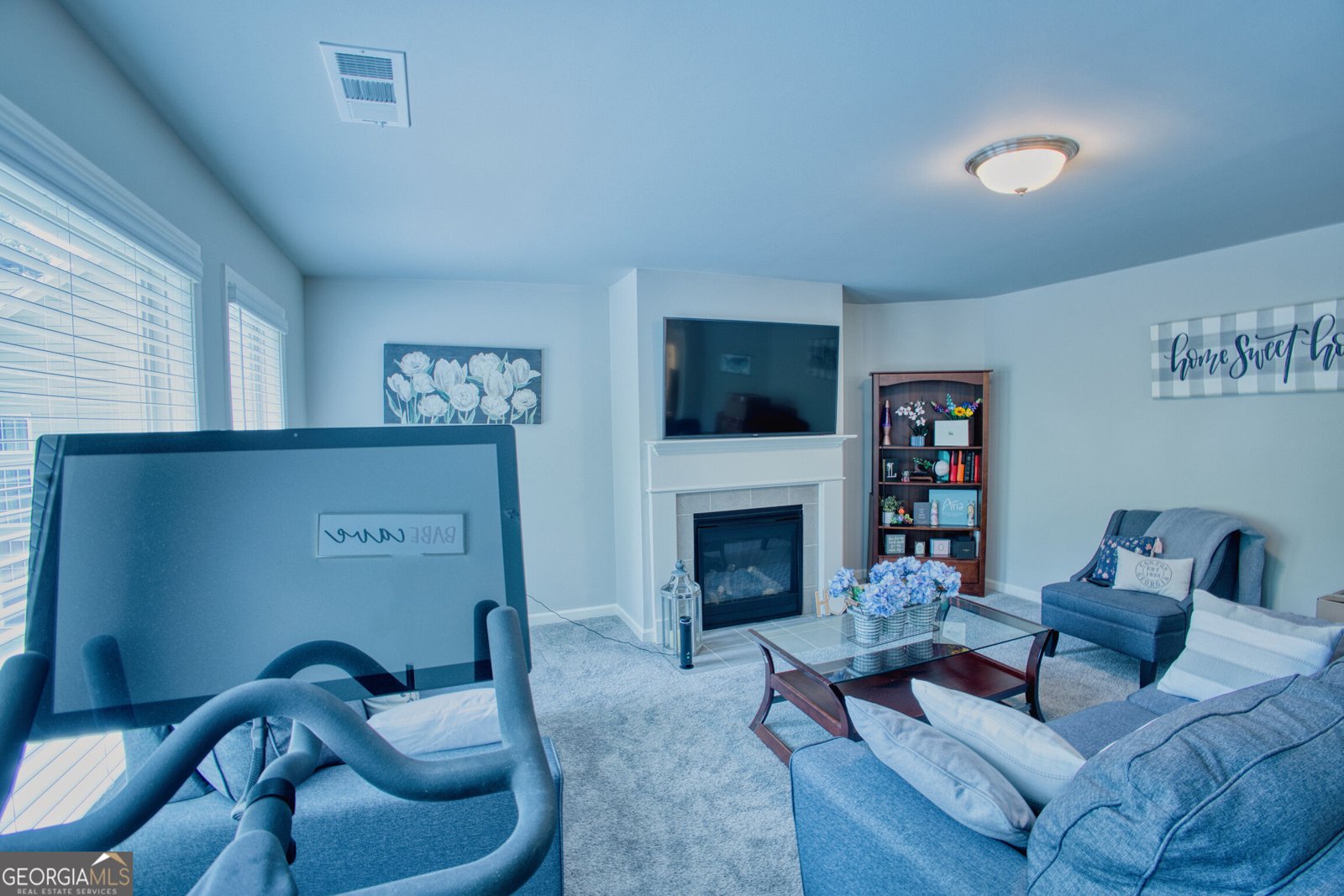 523 Blue Mountain Rise Canton - Photo 20