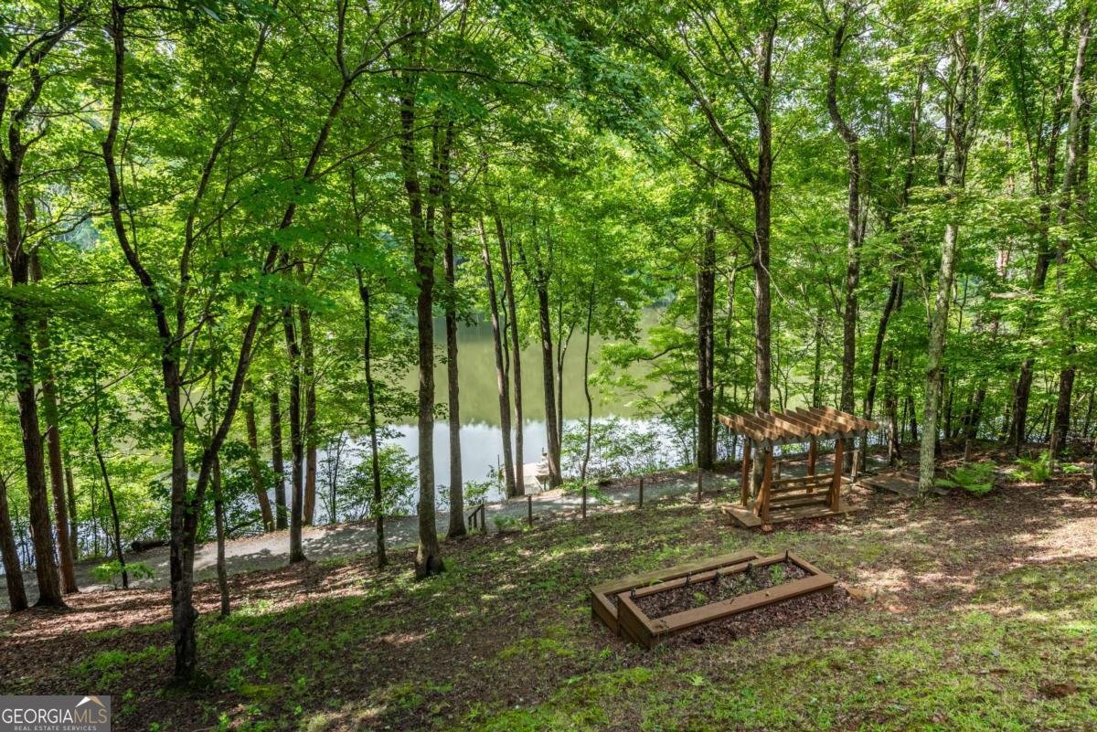 427 Lake Drive Ellijay - Photo 47