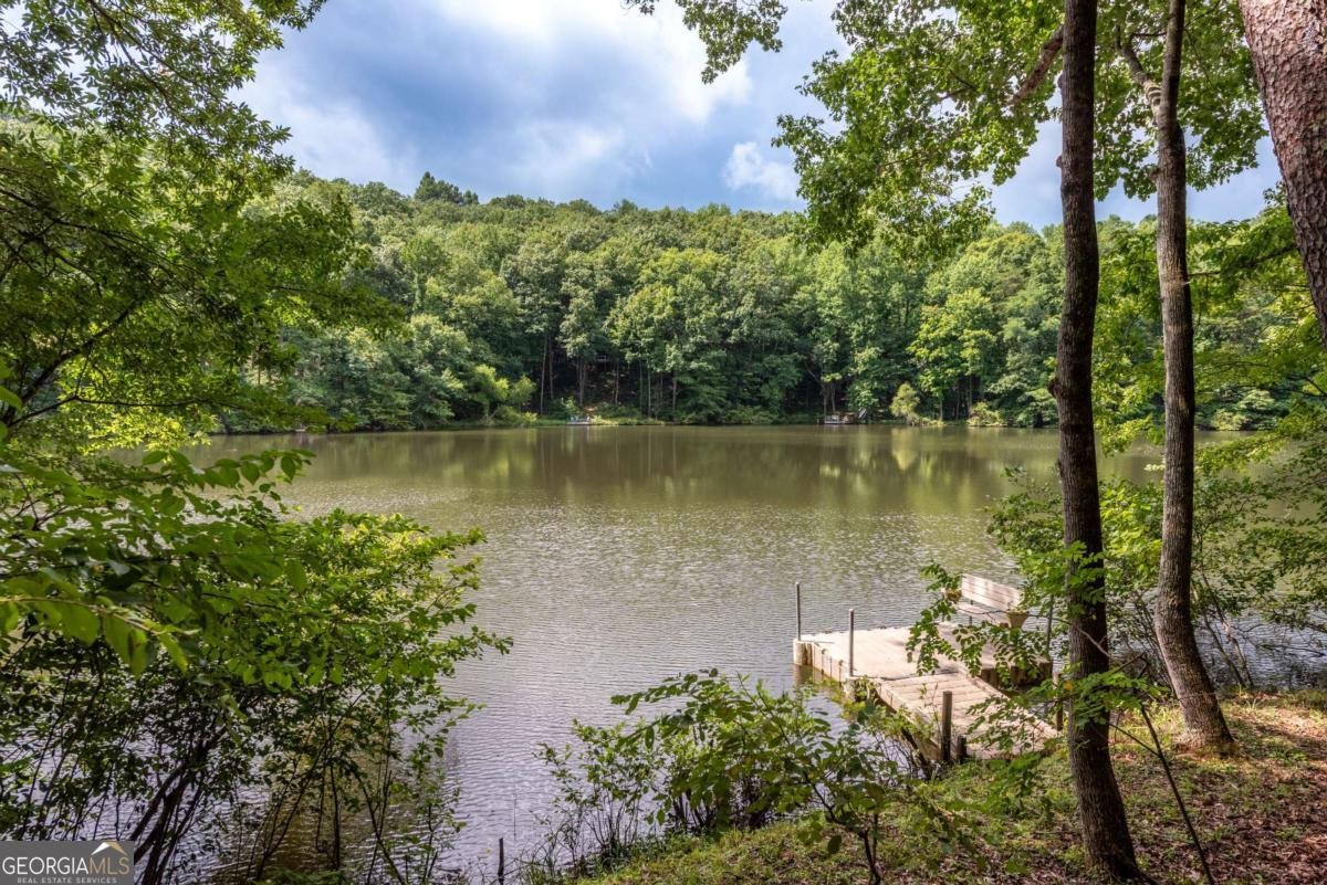 427 Lake Drive Ellijay - Photo 62