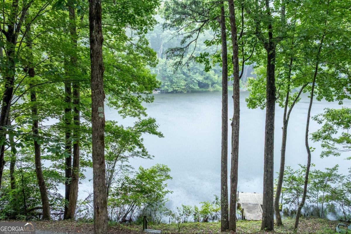 427 Lake Drive Ellijay - Photo 7