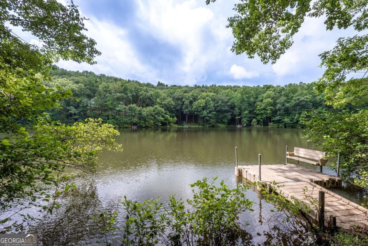 427 Lake Drive Ellijay - Photo 9
