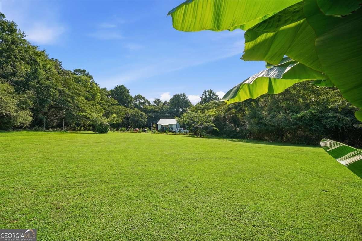 5183 Latty Road Lula - Photo 29