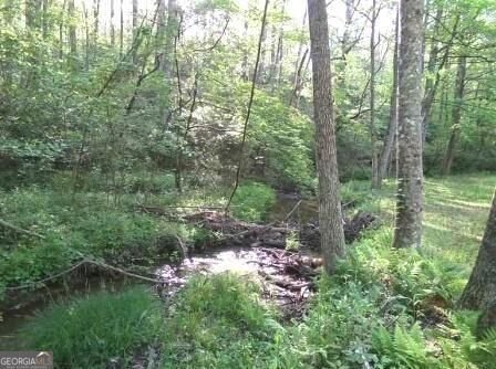 953 Nugget Lane Ellijay - Photo 10