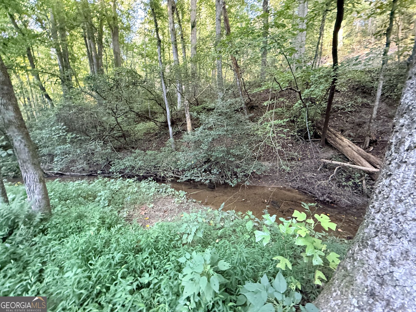 953 Nugget Lane Ellijay - Photo 14