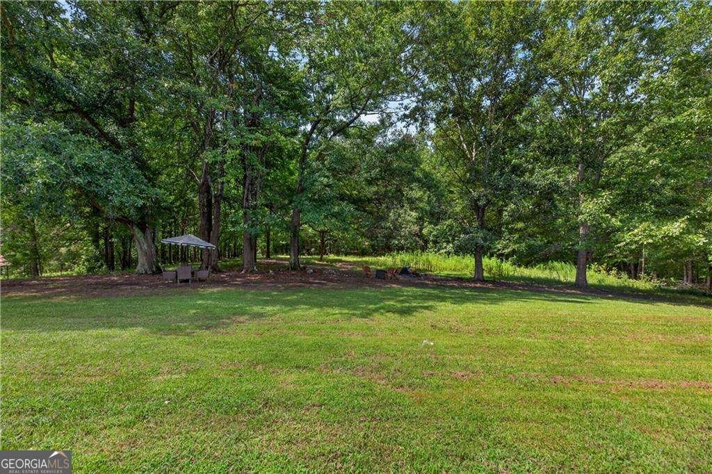 303 Mtn View Clubhouse Road Buchanan - Photo 40