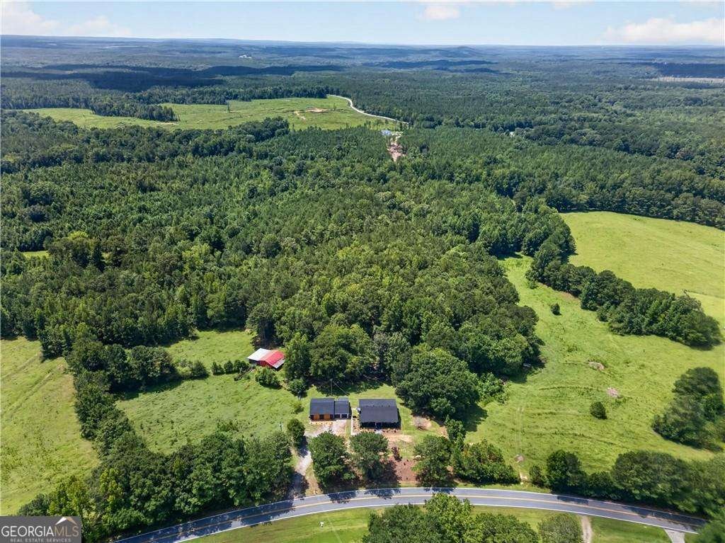 303 Mtn View Clubhouse Road Buchanan - Photo 43