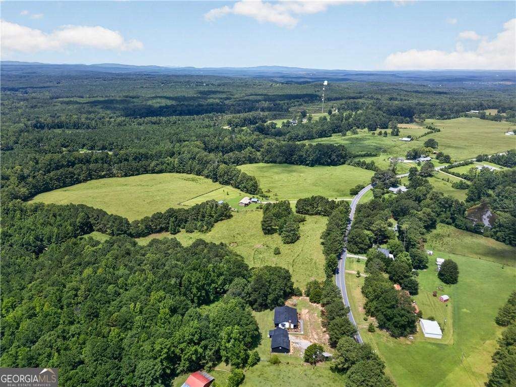 303 Mtn View Clubhouse Road Buchanan - Photo 44