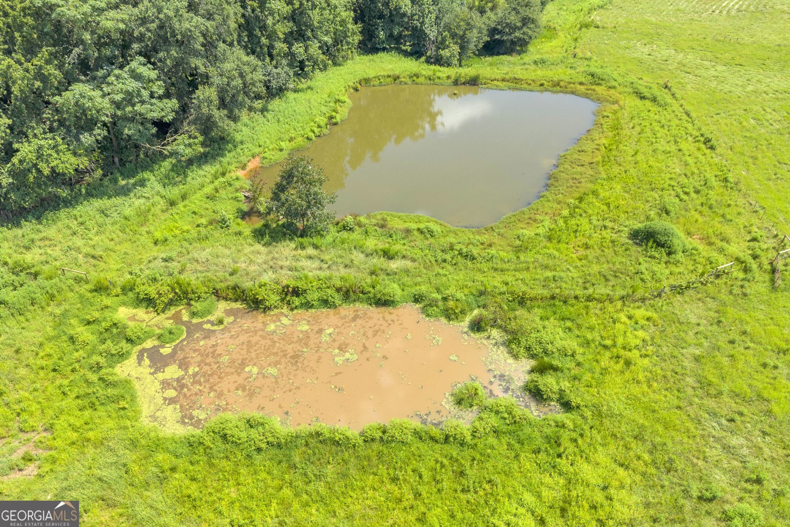 1040 Crenshaw Road Martin - Photo 114