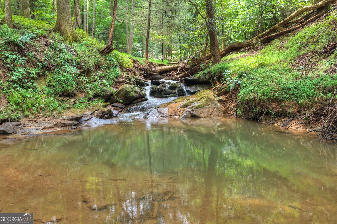 400 Matrix Circle Ellijay - Photo 43