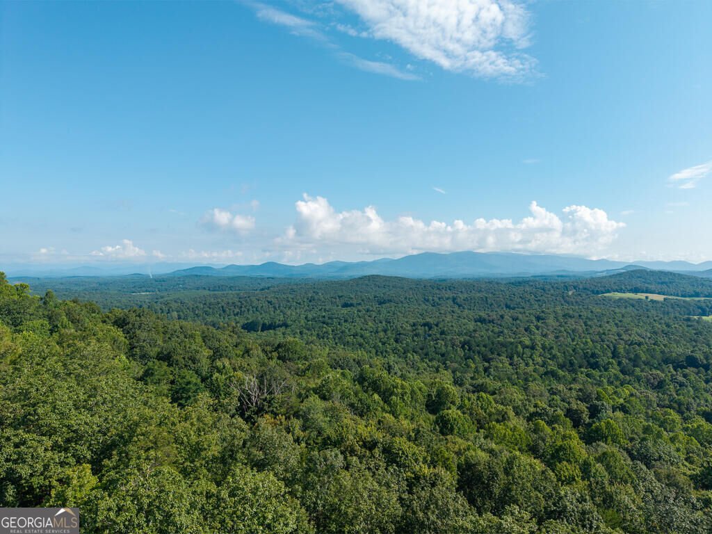 156 Sky High Drive Ellijay - Photo 60