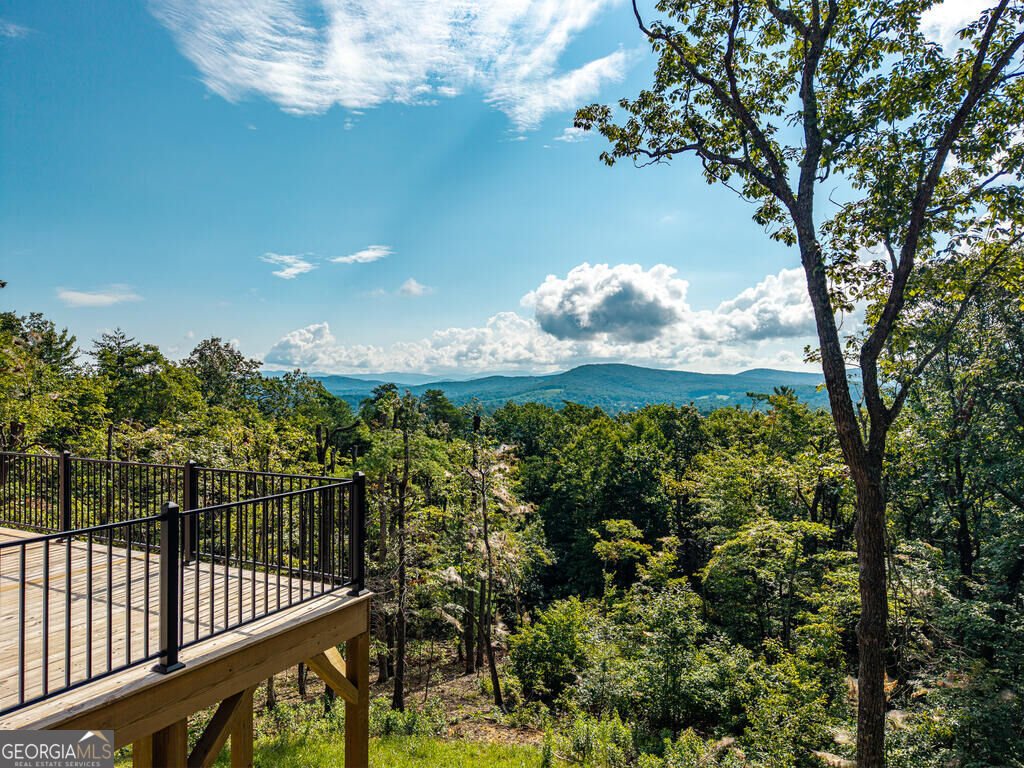 156 Sky High Drive Ellijay - Photo 61