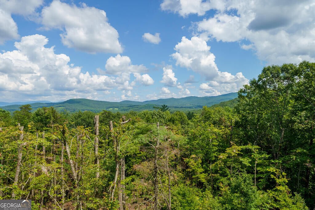 156 Sky High Drive Ellijay - Photo 62