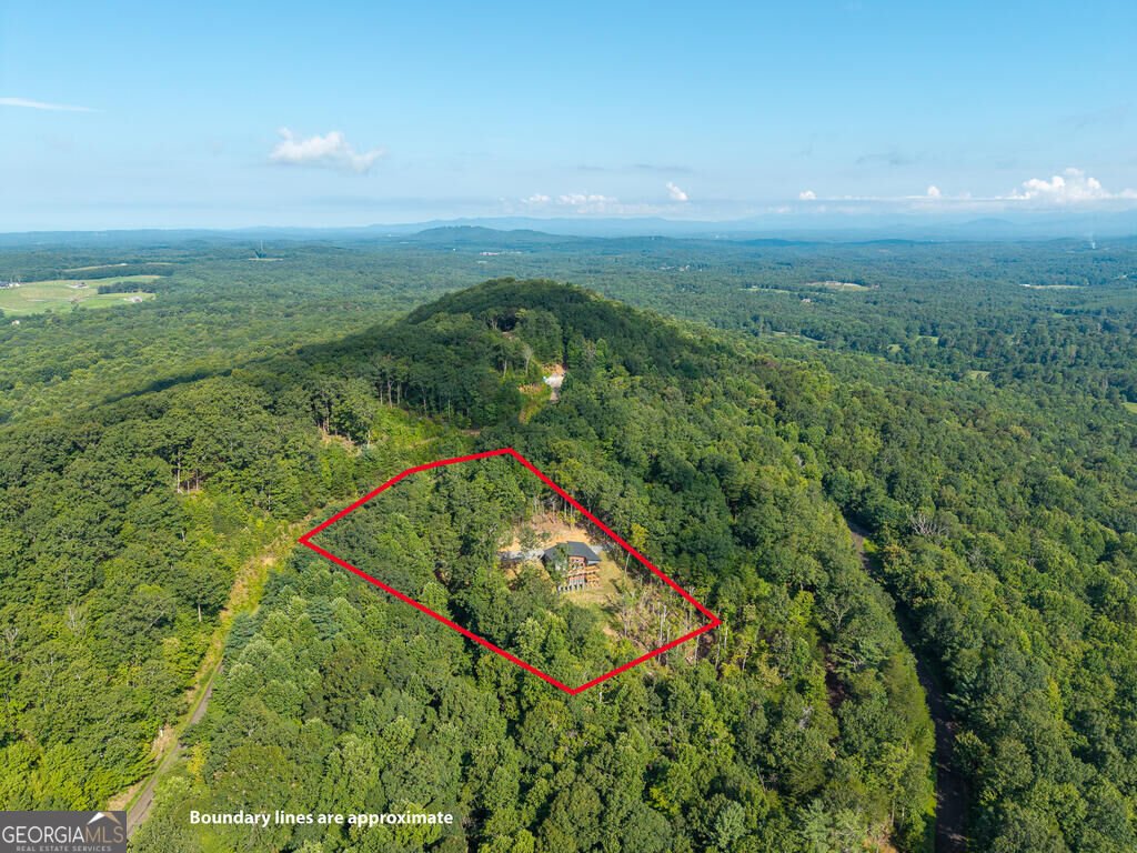 156 Sky High Drive Ellijay - Photo 68
