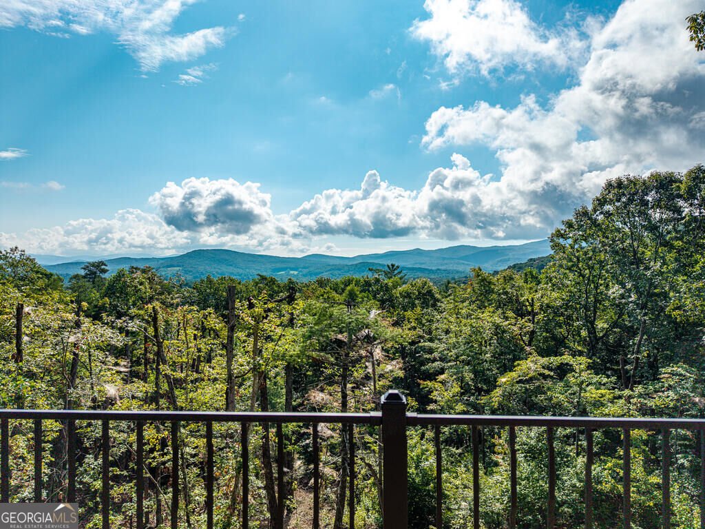 156 Sky High Drive Ellijay - Photo 71