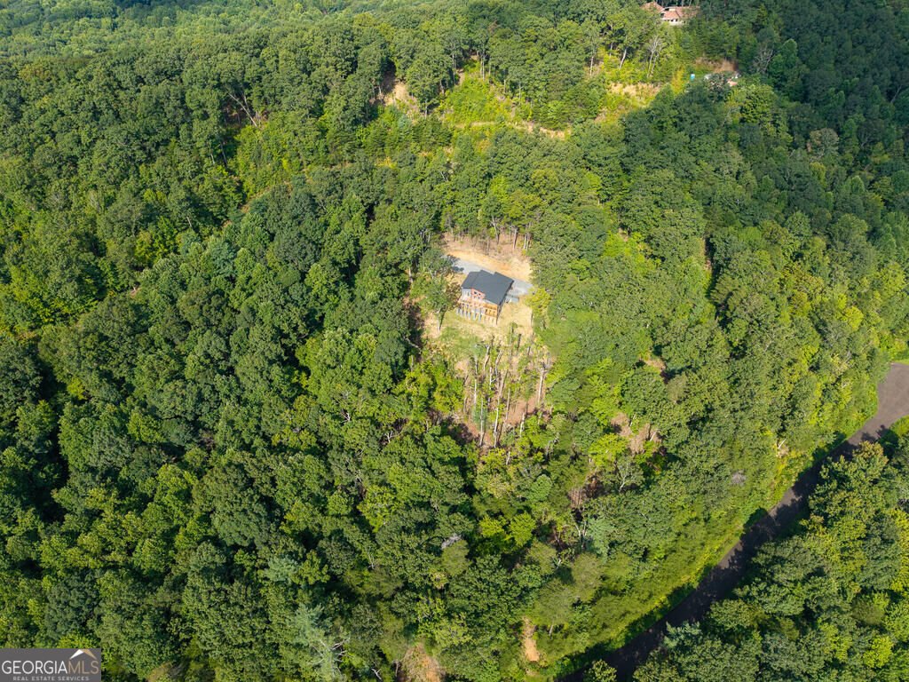 156 Sky High Drive Ellijay - Photo 80