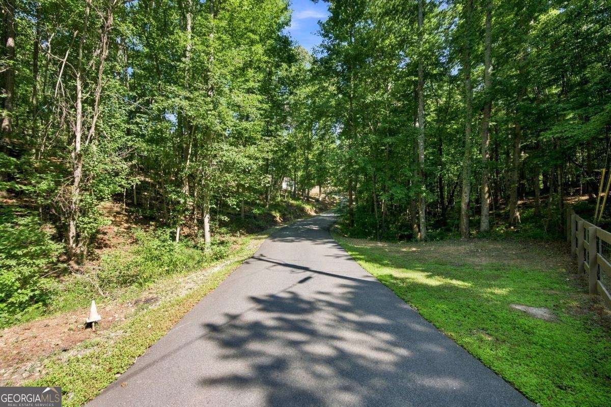 221 Brookhollow Road Ball Ground - Photo 119