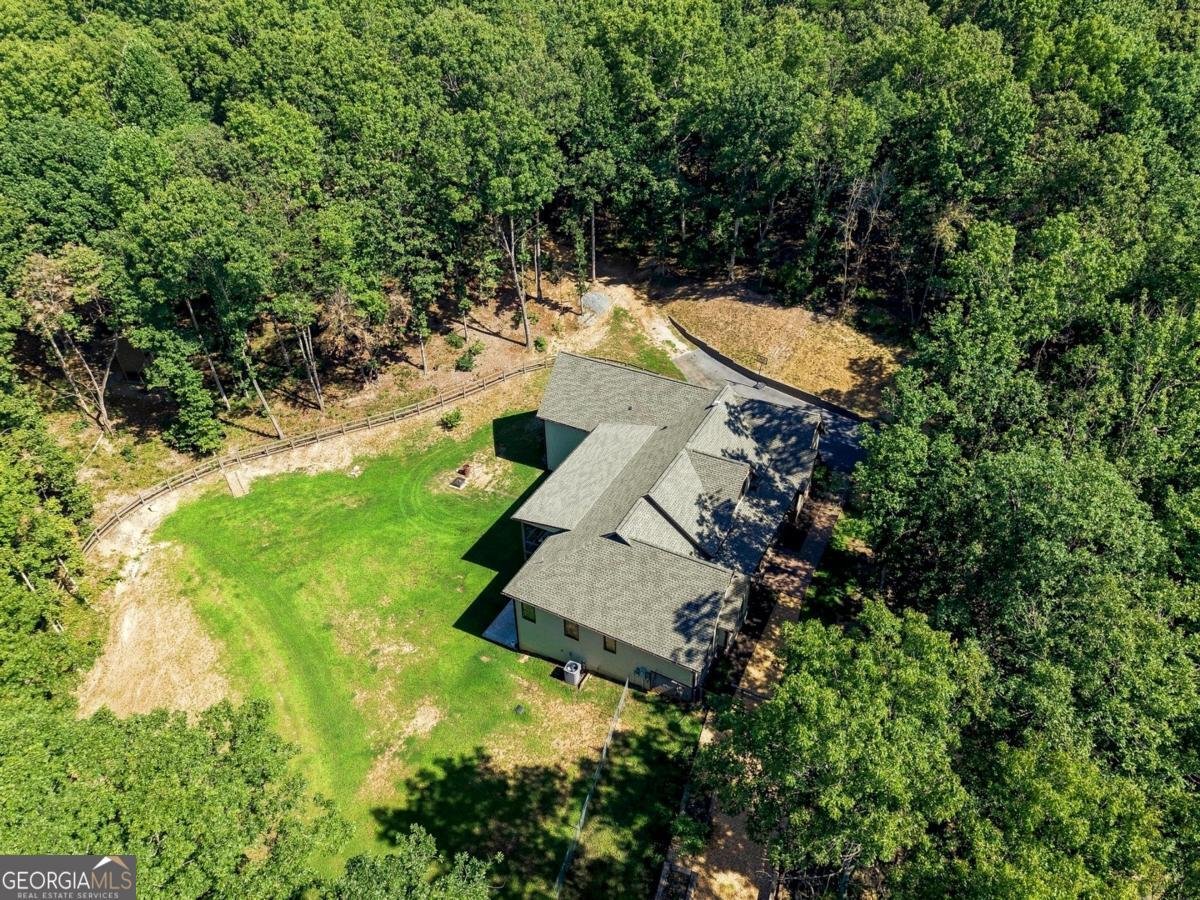 221 Brookhollow Road Ball Ground - Photo 121