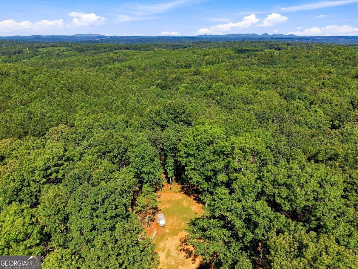 221 Brookhollow Road Ball Ground - Photo 126