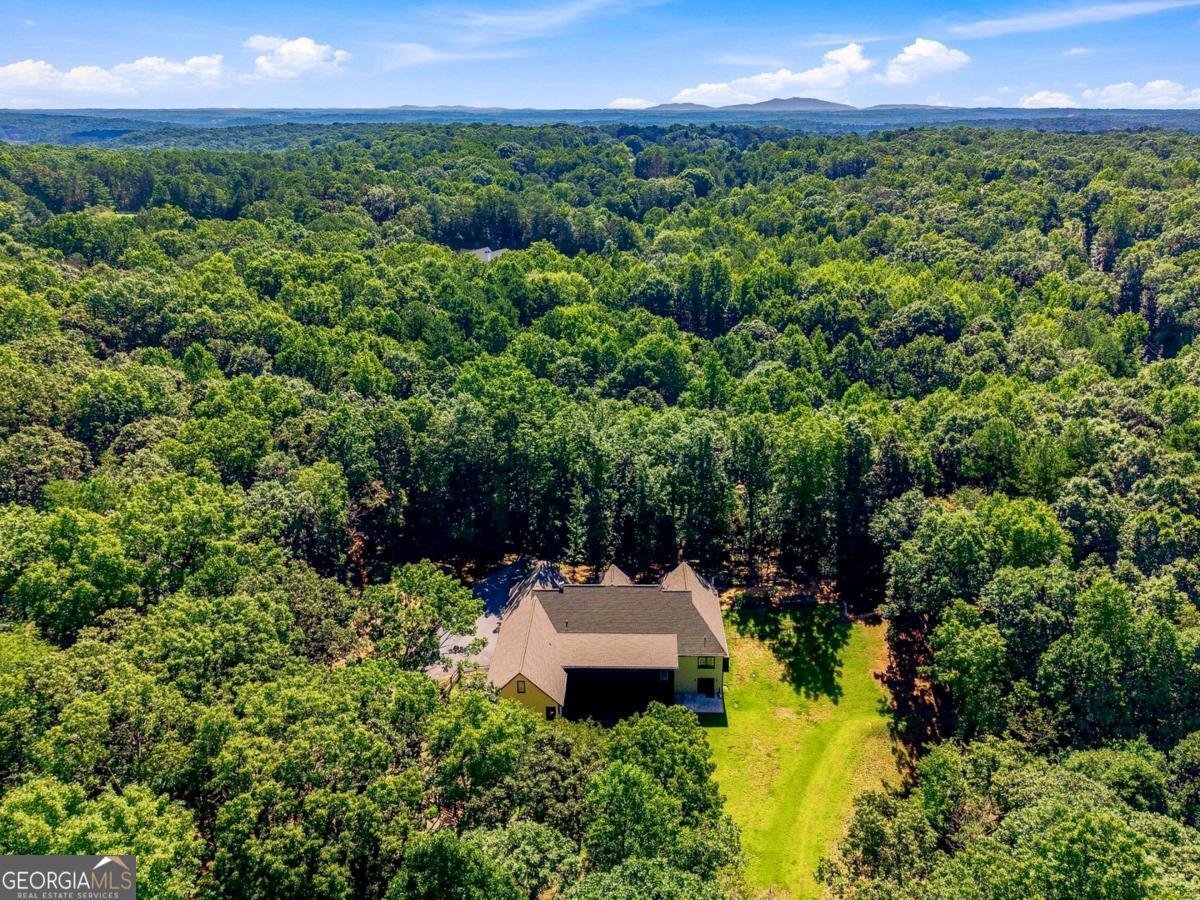 221 Brookhollow Road Ball Ground - Photo 133