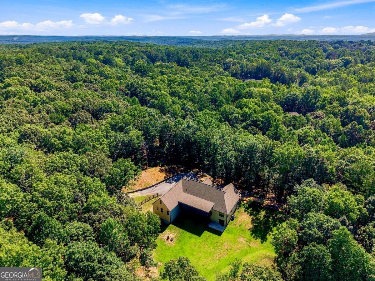 221 Brookhollow Road Ball Ground - Photo 136