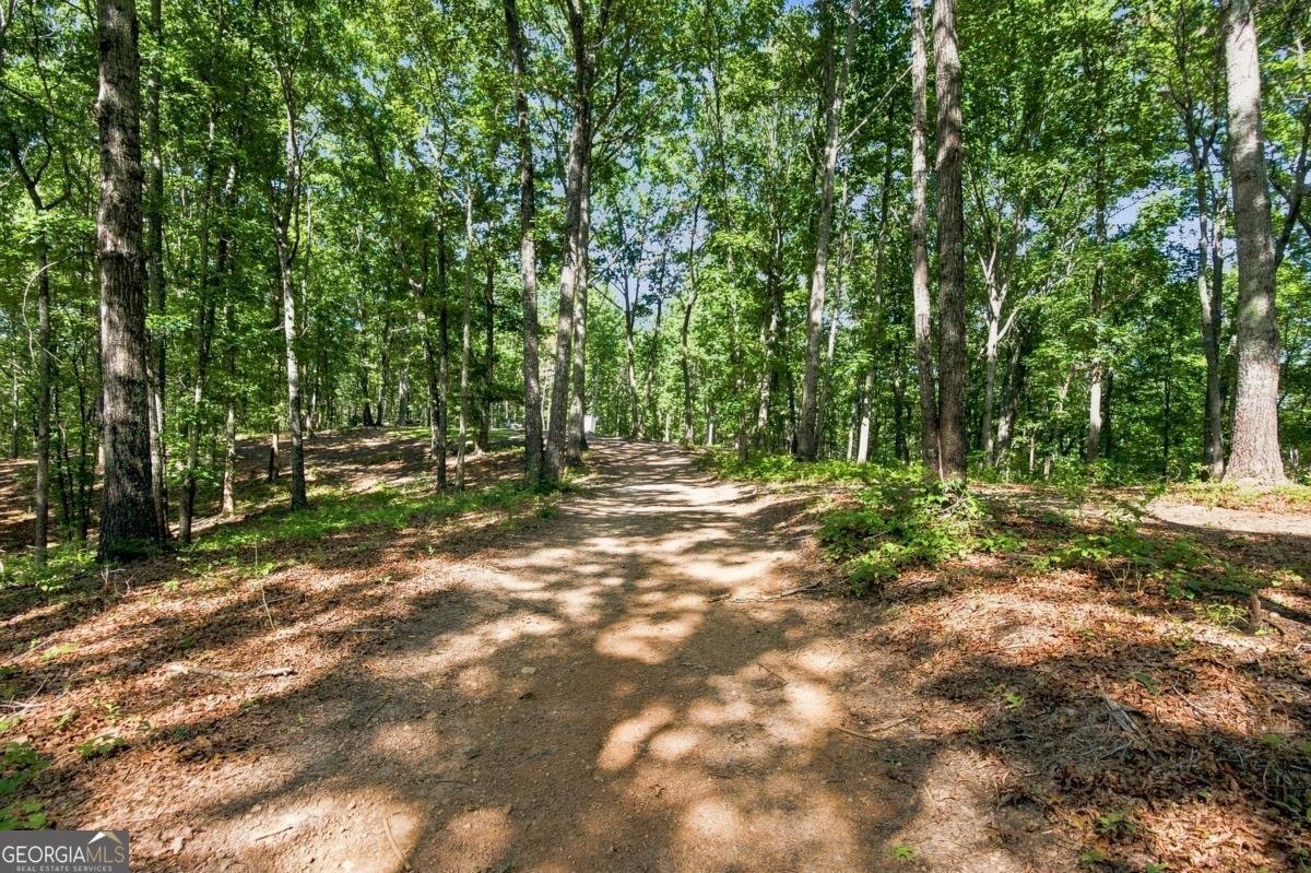221 Brookhollow Road Ball Ground - Photo 178