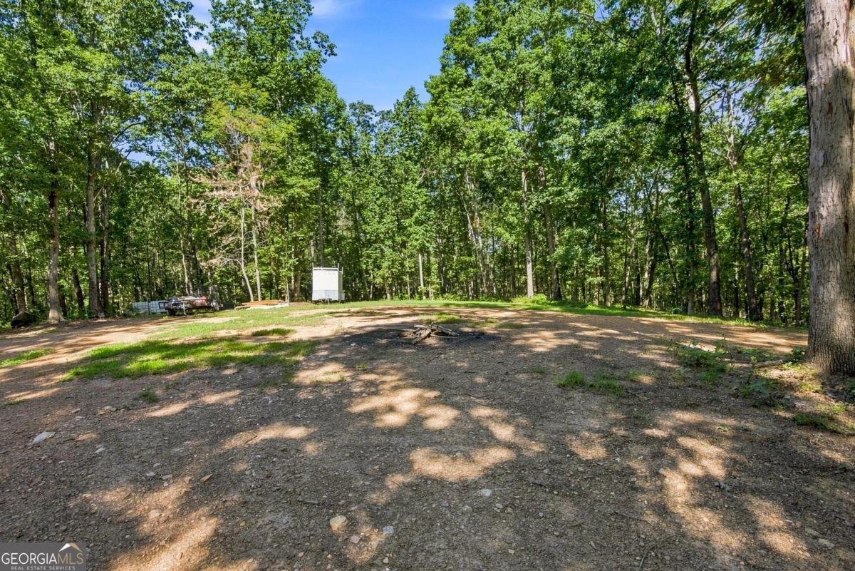 221 Brookhollow Road Ball Ground - Photo 179