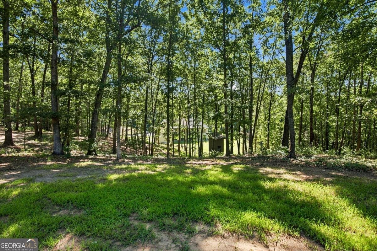 221 Brookhollow Road Ball Ground - Photo 180