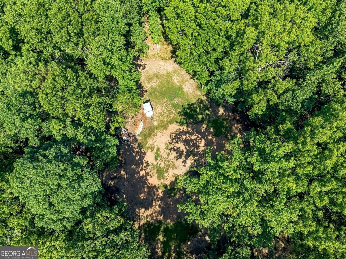 221 Brookhollow Road Ball Ground - Photo 183