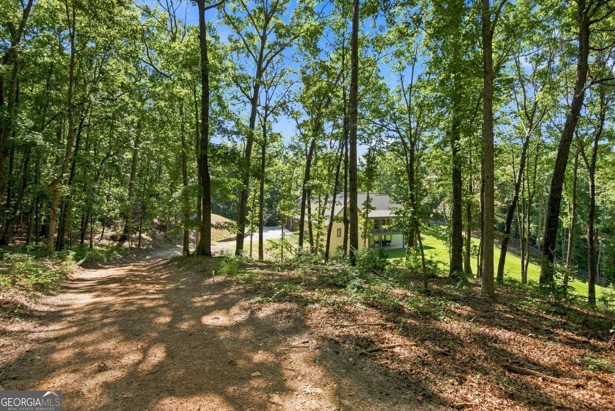 221 Brookhollow Road Ball Ground - Photo 185